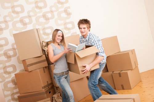 User managing cookie preferences for a removal company site